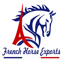 French Horse Exports